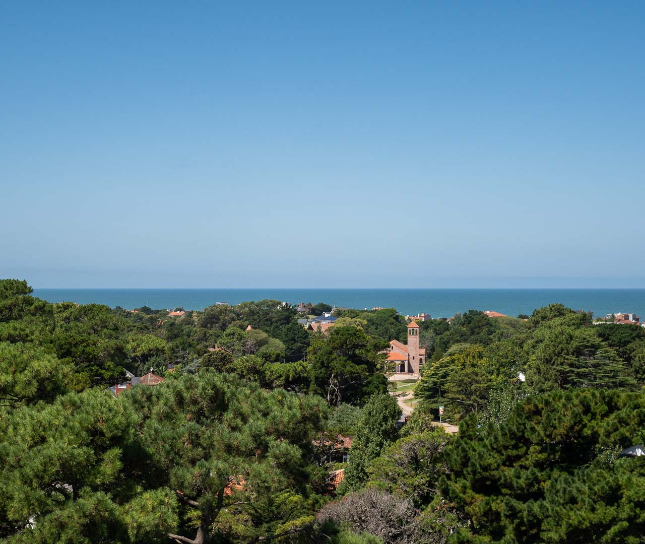 Vista del bosque de Pinamar hacia el mar